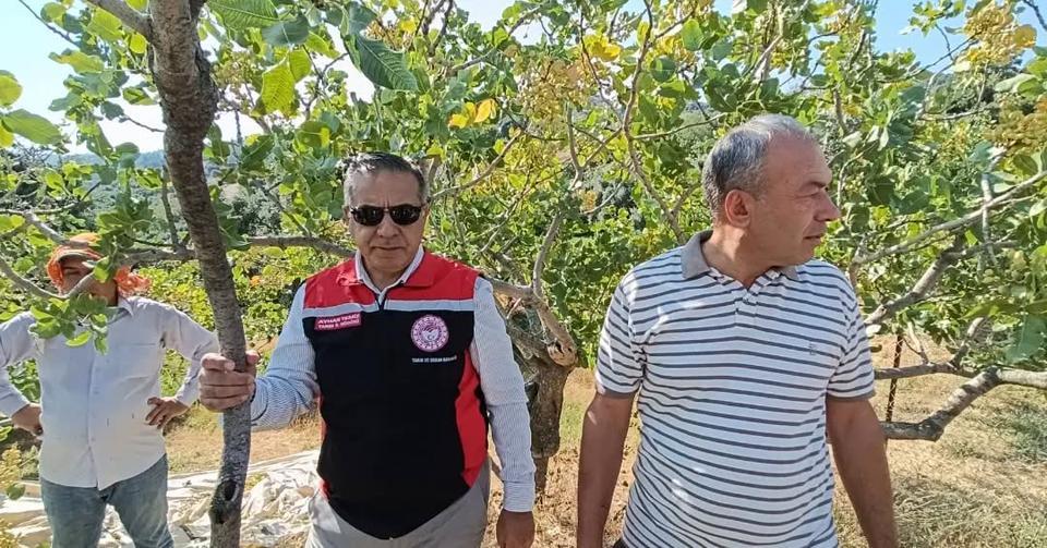 Antep Fıstığı Festivali