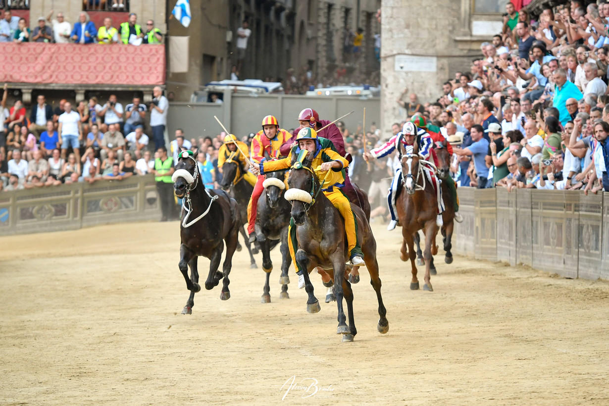 Palio di Siena