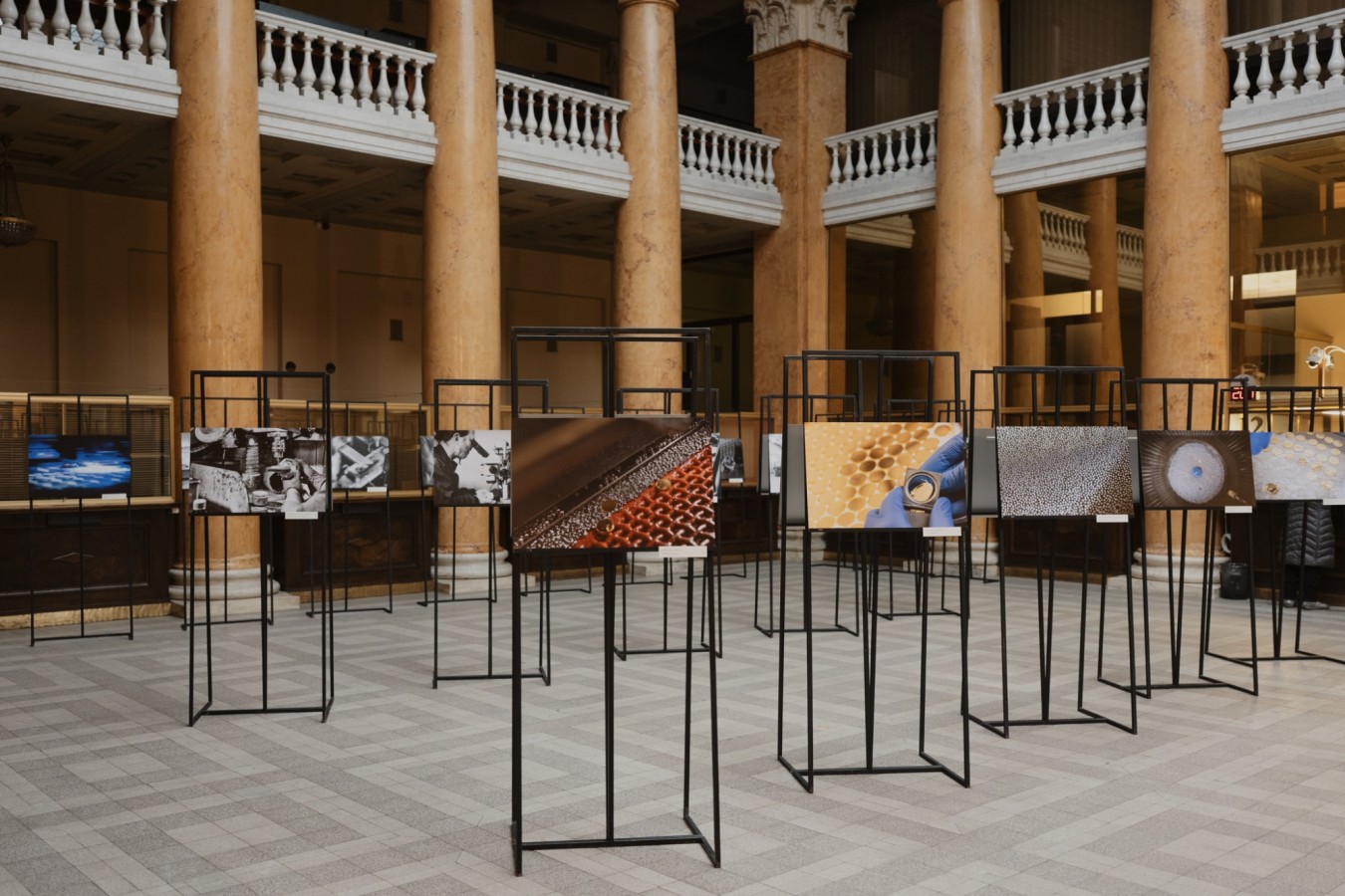 Pinigų muziejaus fotografijų paroda „Gyvenimas tarp delnų“