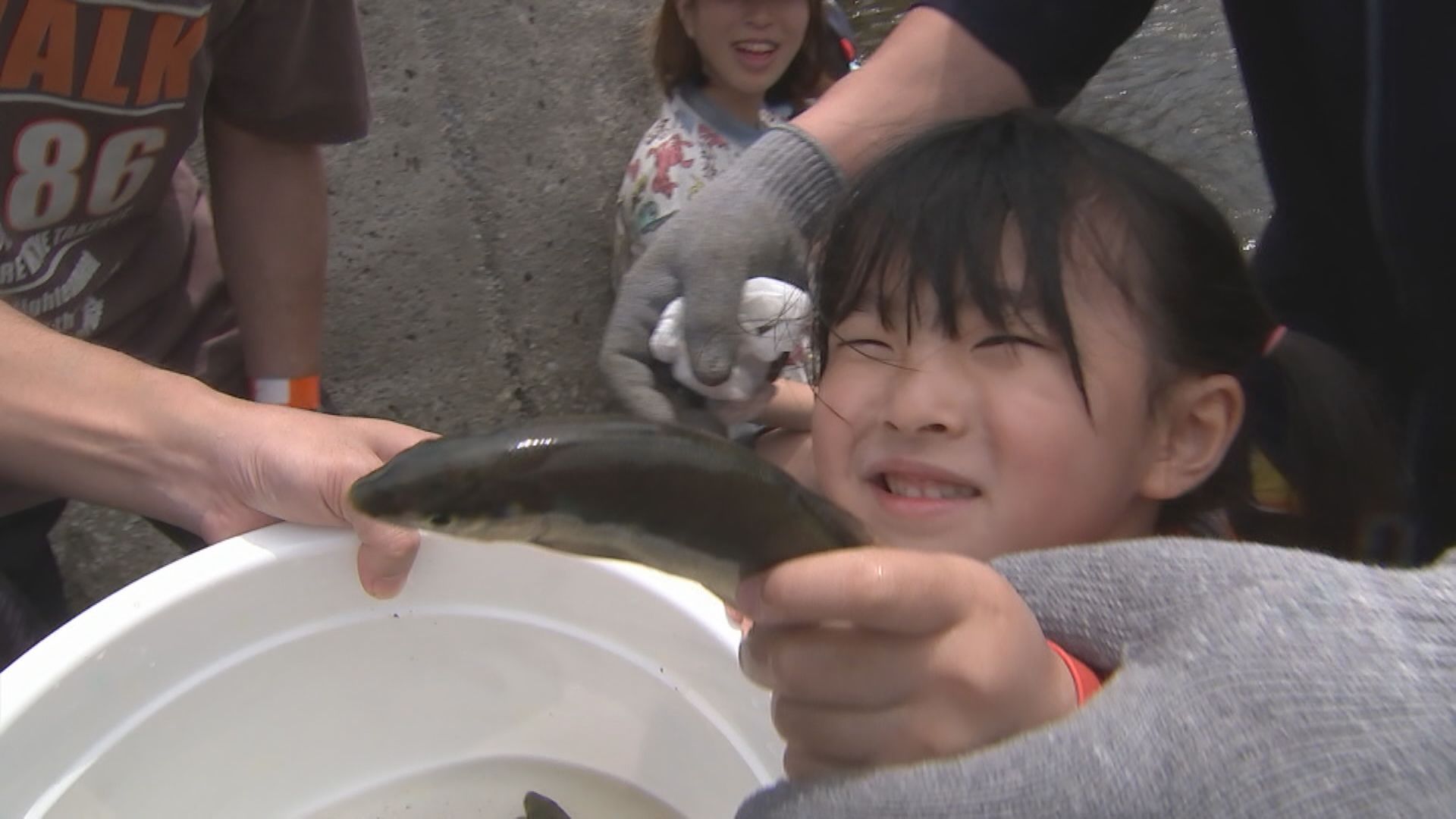 川遊びフェスティバル