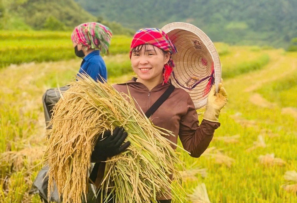 Lễ hội Mừng cơm mới năm 2026