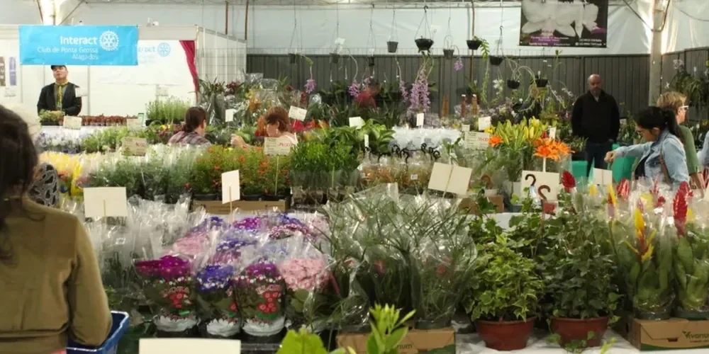 Expo&Flor