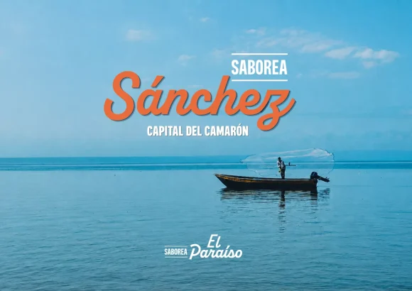 Savor Paradise Sánchez