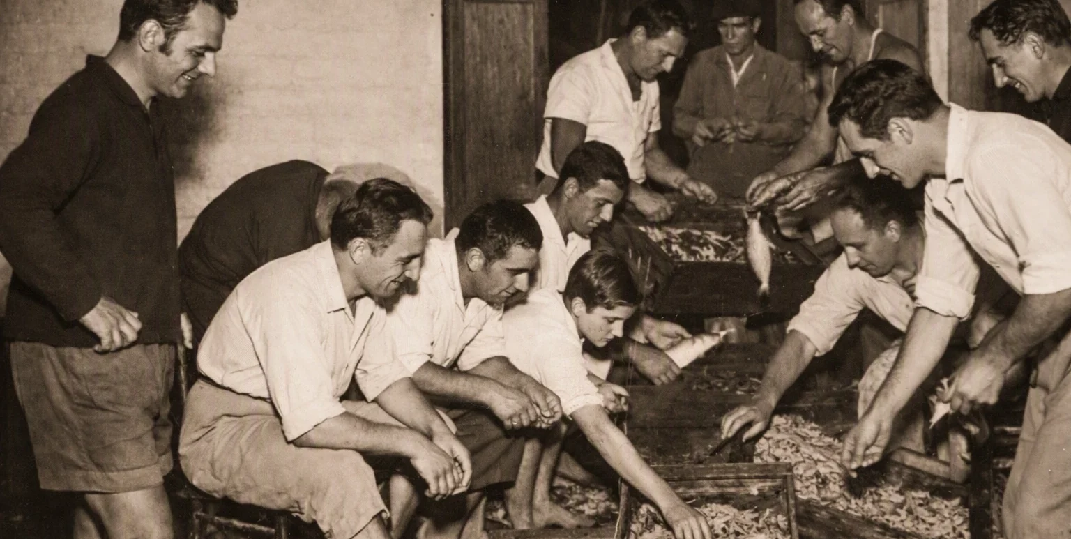 Sagra del Pesce