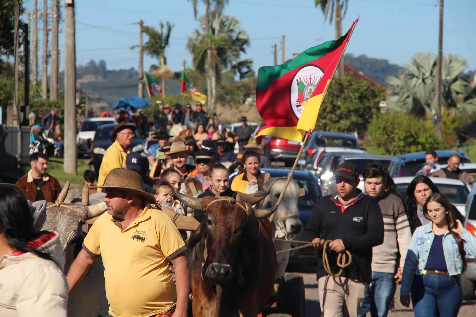 25ª Festa das Azaleias