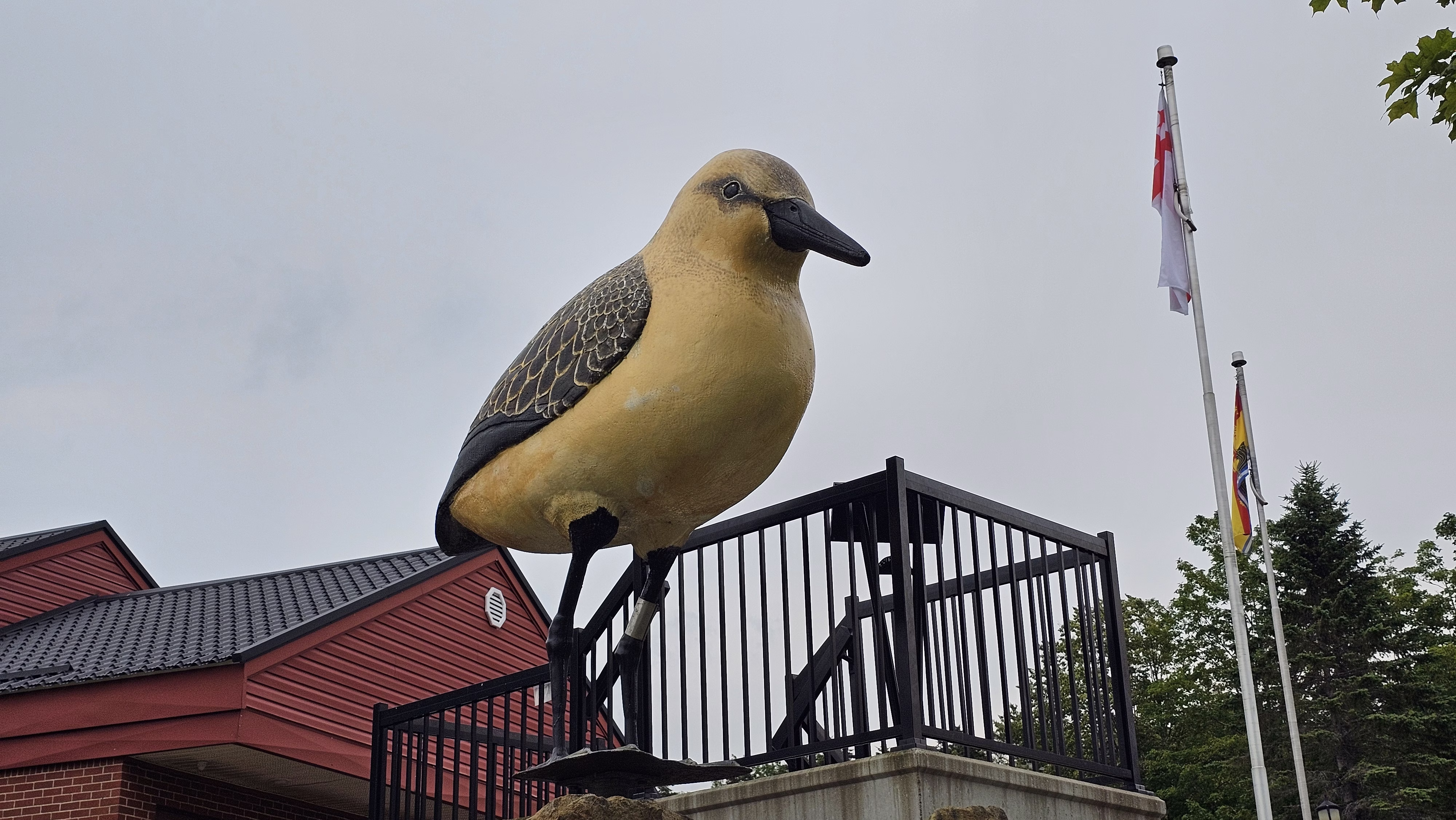 Dorchester Sandpiper Festival
