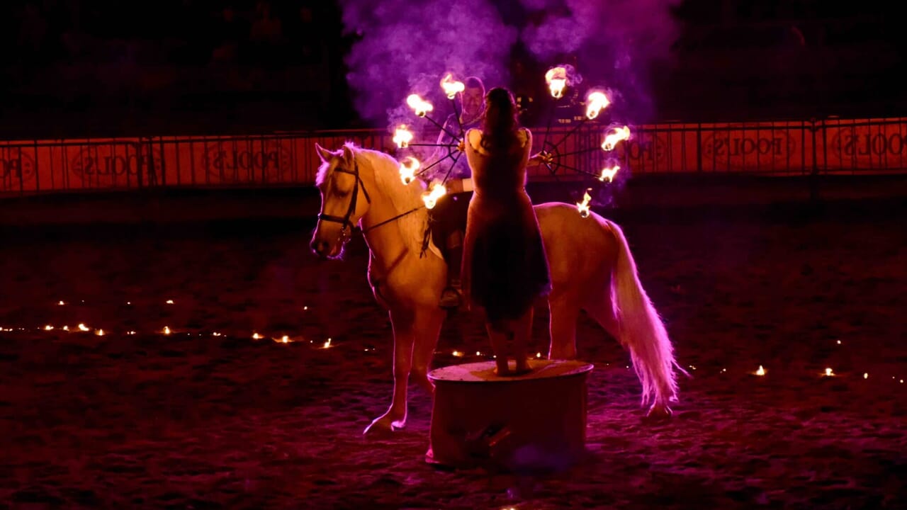 Mostra Nazionale del Cavallo di Città di Castello