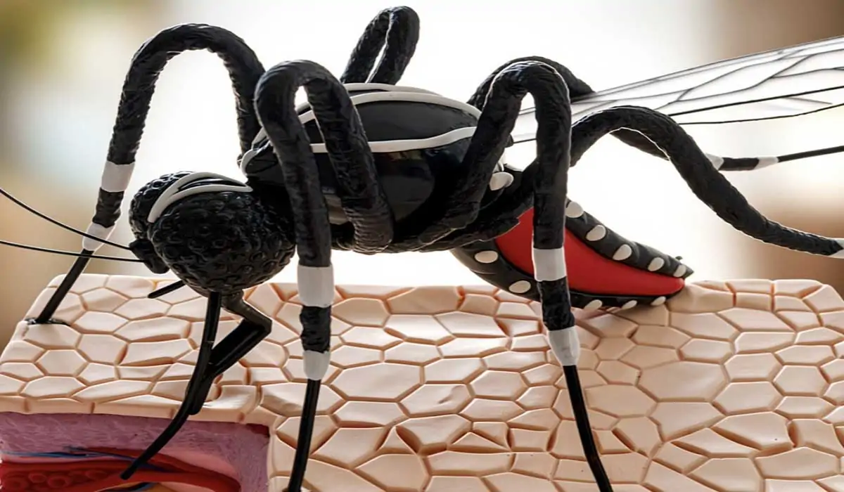 Exposição Educativa Itinerante “Conhecendo o Mundo dos Mosquitos”