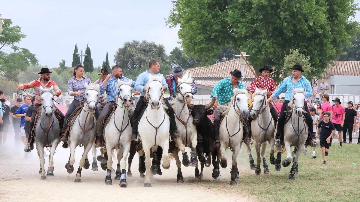 Fiesta d'été du Crès