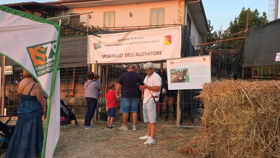 Mostra degli animali della Valle dello Jato