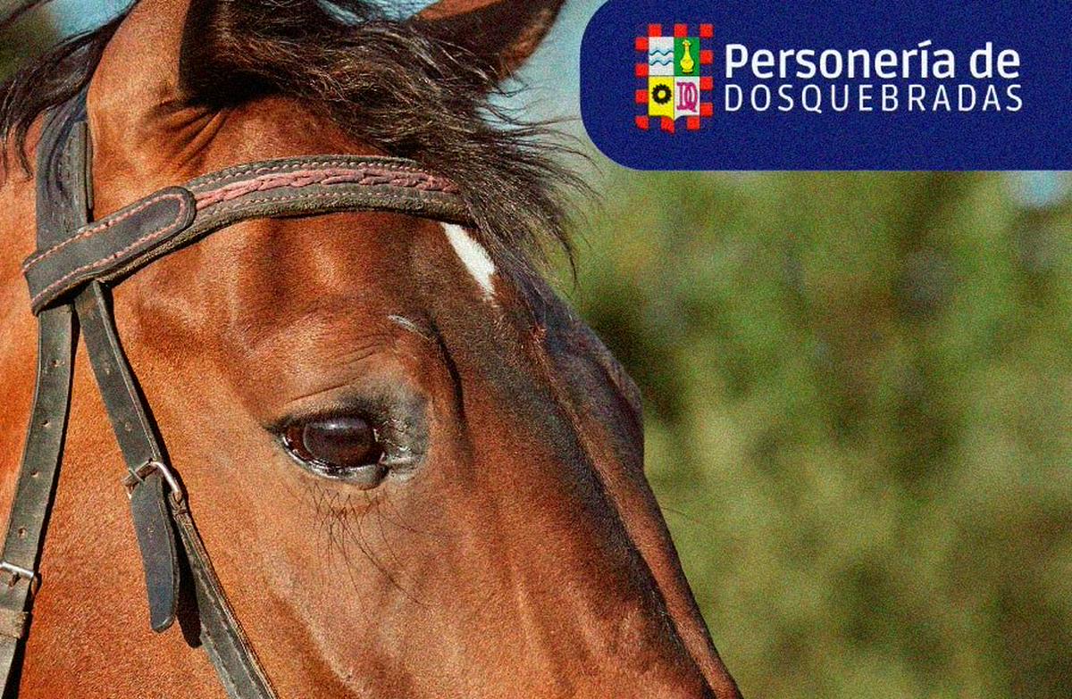 Desfile a Caballo 2026