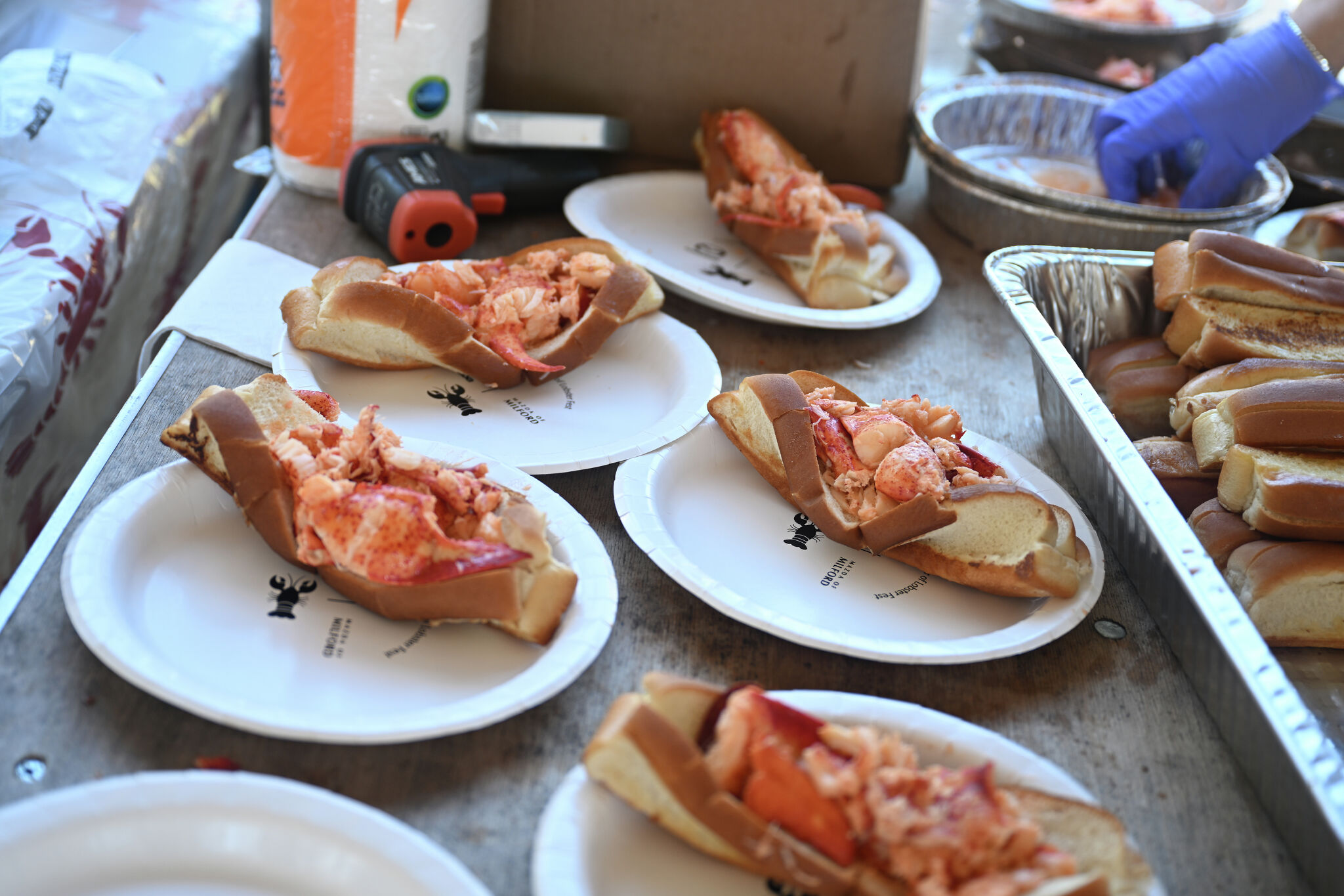 Milford Regional Lobster Roll Festival