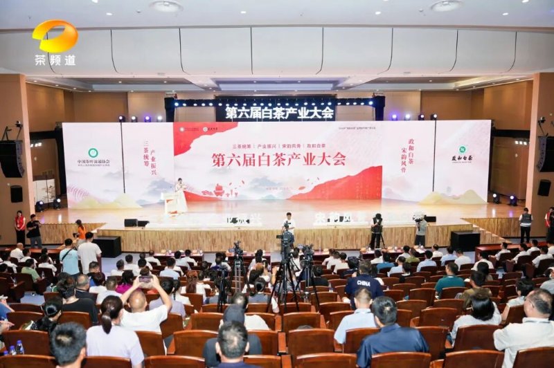 第六届白茶产业大会 2026年政和白茶品牌宣传推广活动