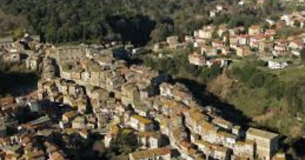 Sagra del cinghiale