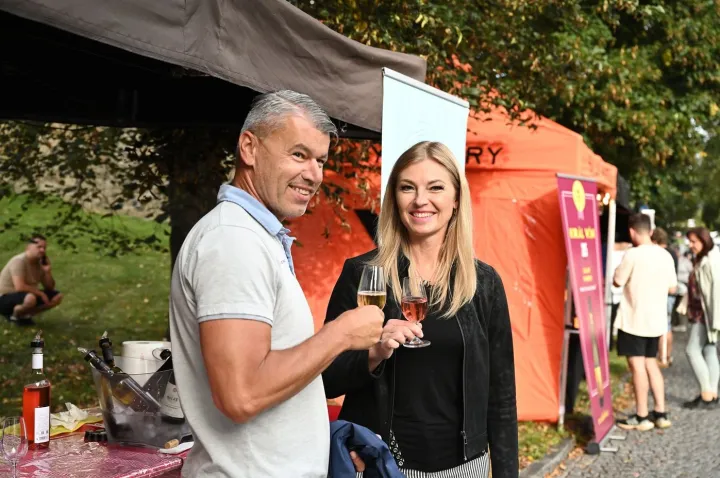 Bolevecké vinobraní