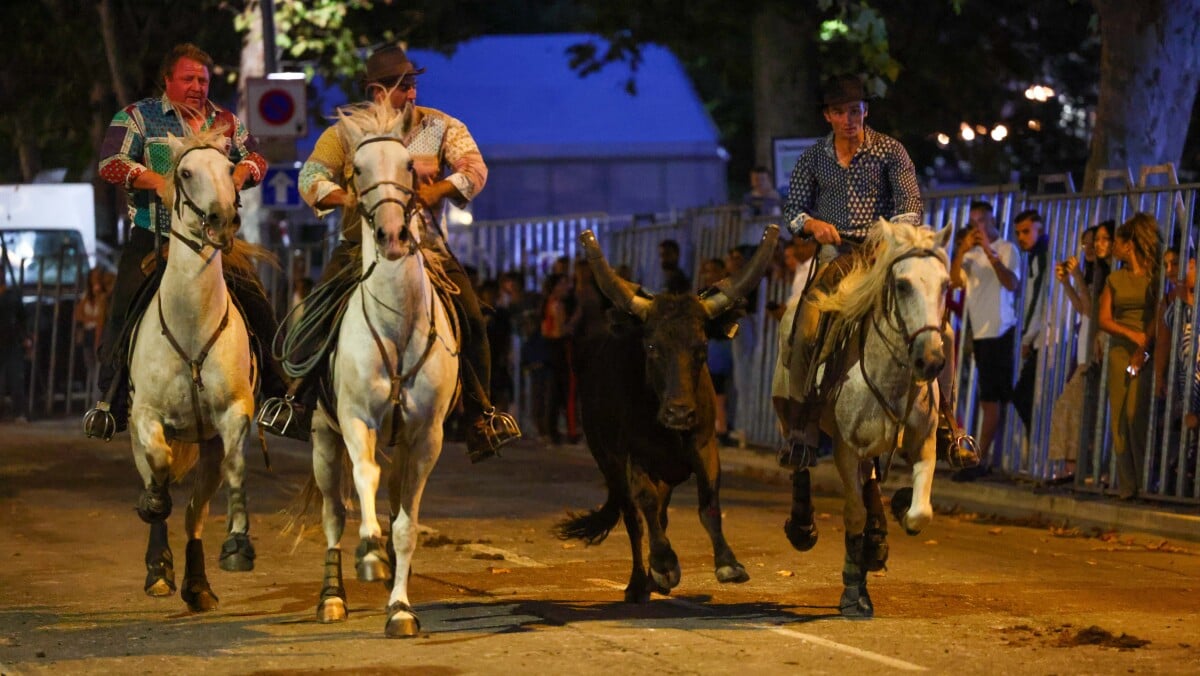 La fête votive d’Orgon