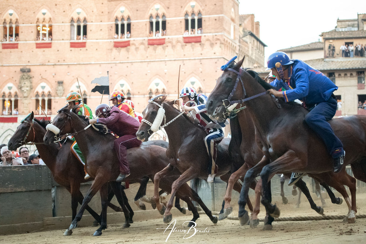 Palio di Siena dell’Assunta