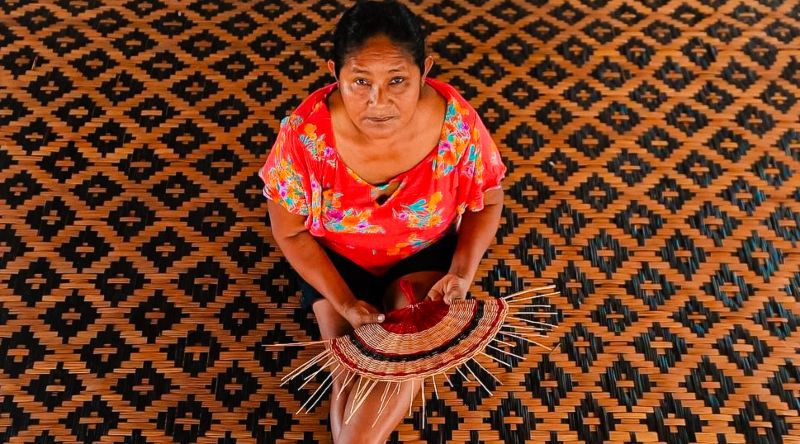 Festival AMÁ – Encontro de Saberes na Amazônia