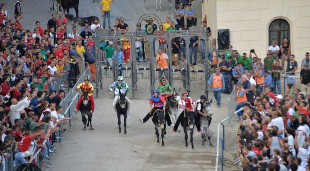 Palio delle Contrade di Allumiere