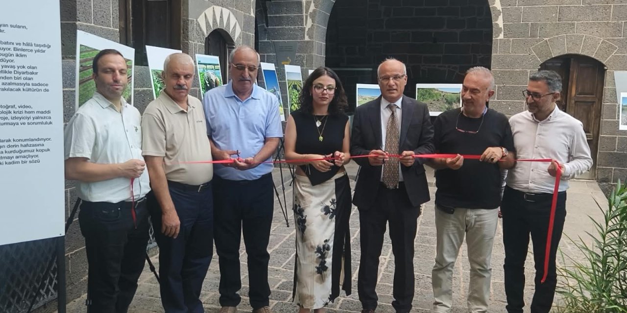Dicle’den Yükselen Çığlık