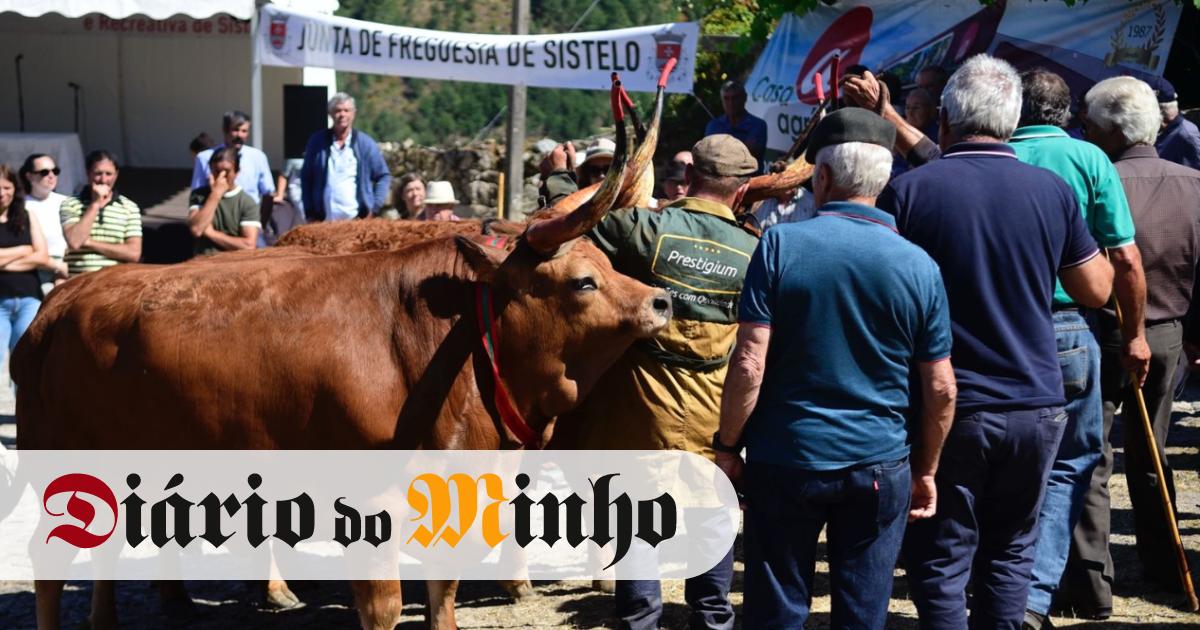 Feira de Santiago