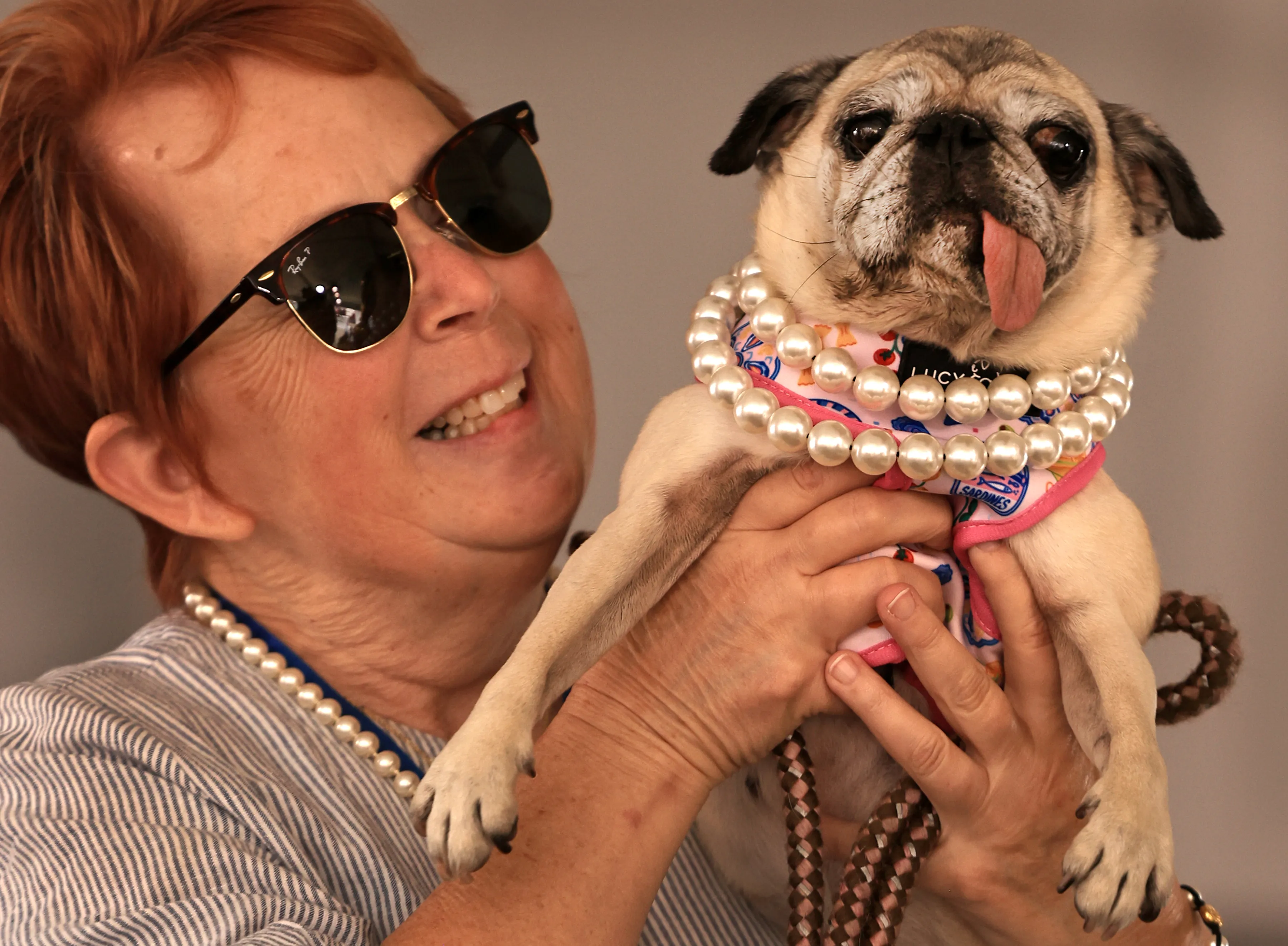 World’s Ugliest Dog Contest