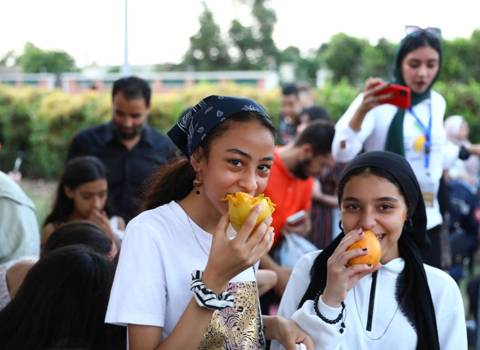 Egyptian Mango Festival
