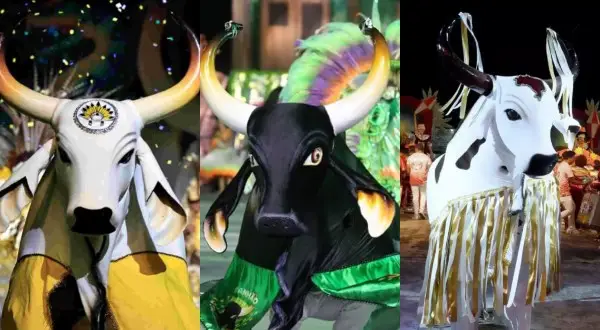 Festival Folclórico do Amazonas