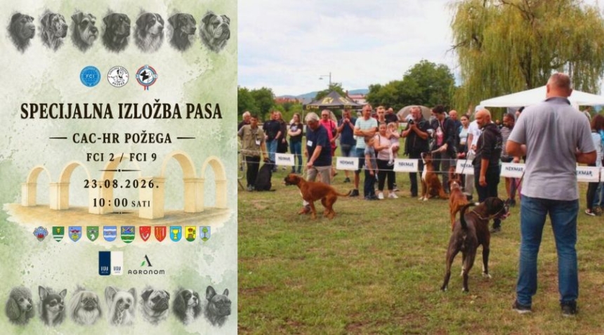 Specijalna izložba pasa CAC-HR Požega