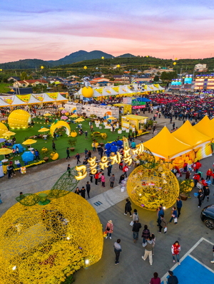 6th Goheung Yuja Festival
