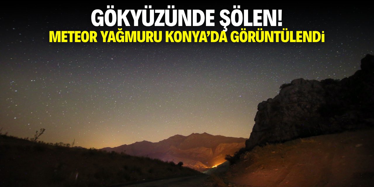Perseid Meteor Yağmuru Gözlem Etkinliği