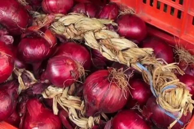 Festival della Cipolla Rossa di Calabria