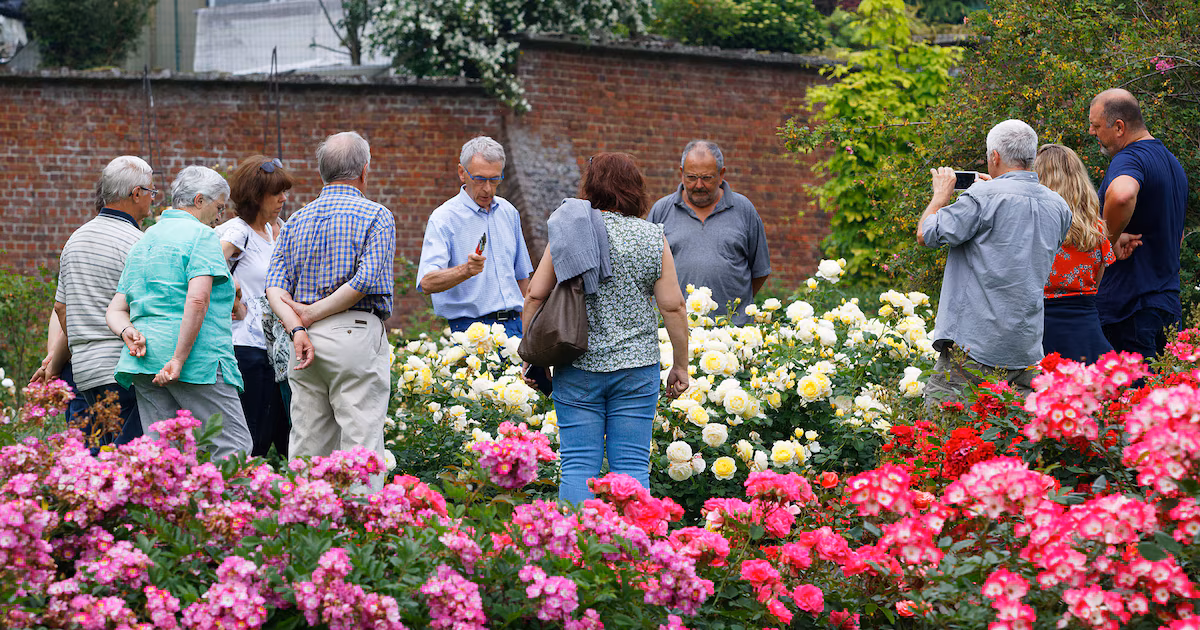 Festival de la Rose