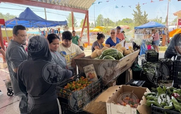 Feria de las Hortalizas