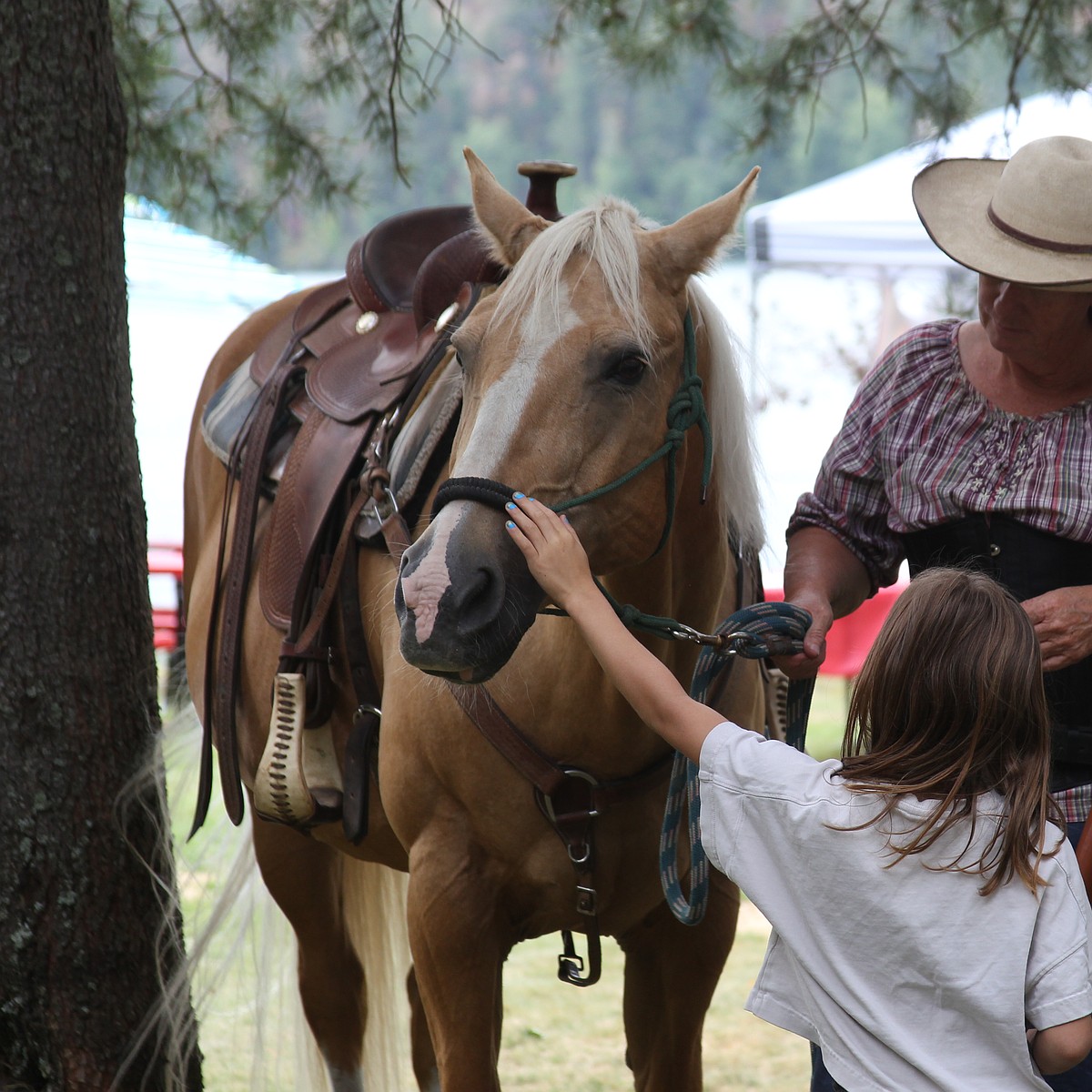 Dover Heritage Festival