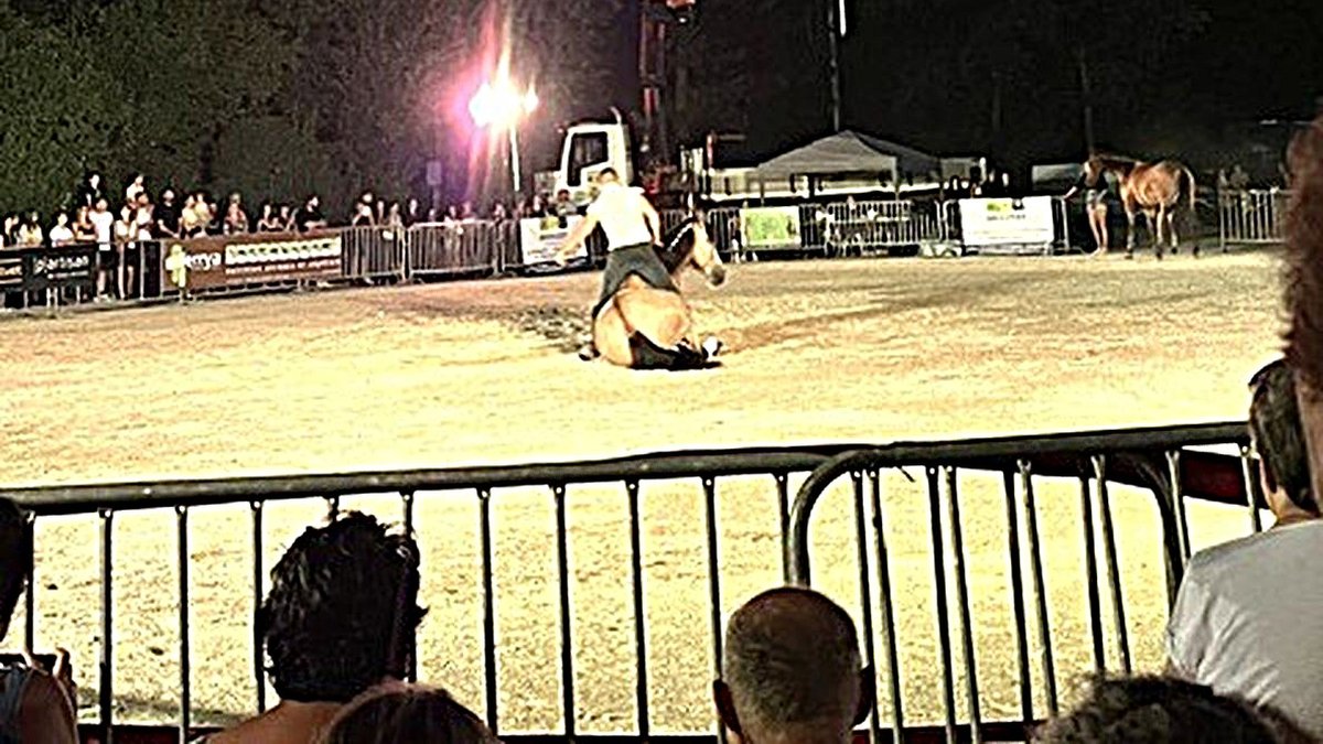 Fête du cheval