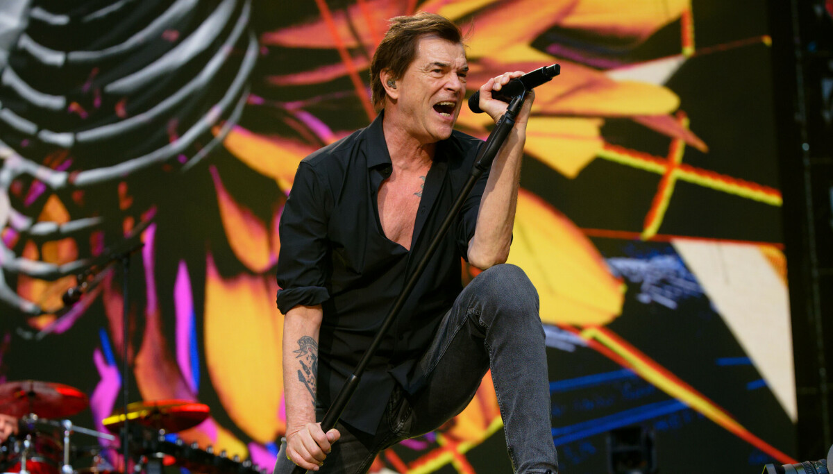Die Toten Hosen in Hamburg