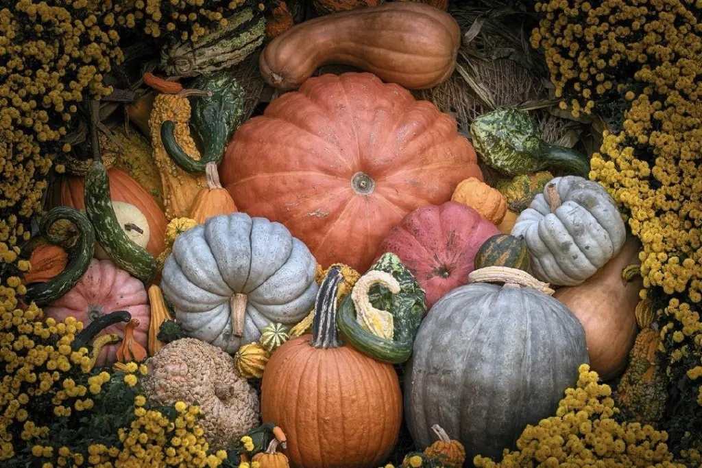 Trails Incredible Farmers Market
