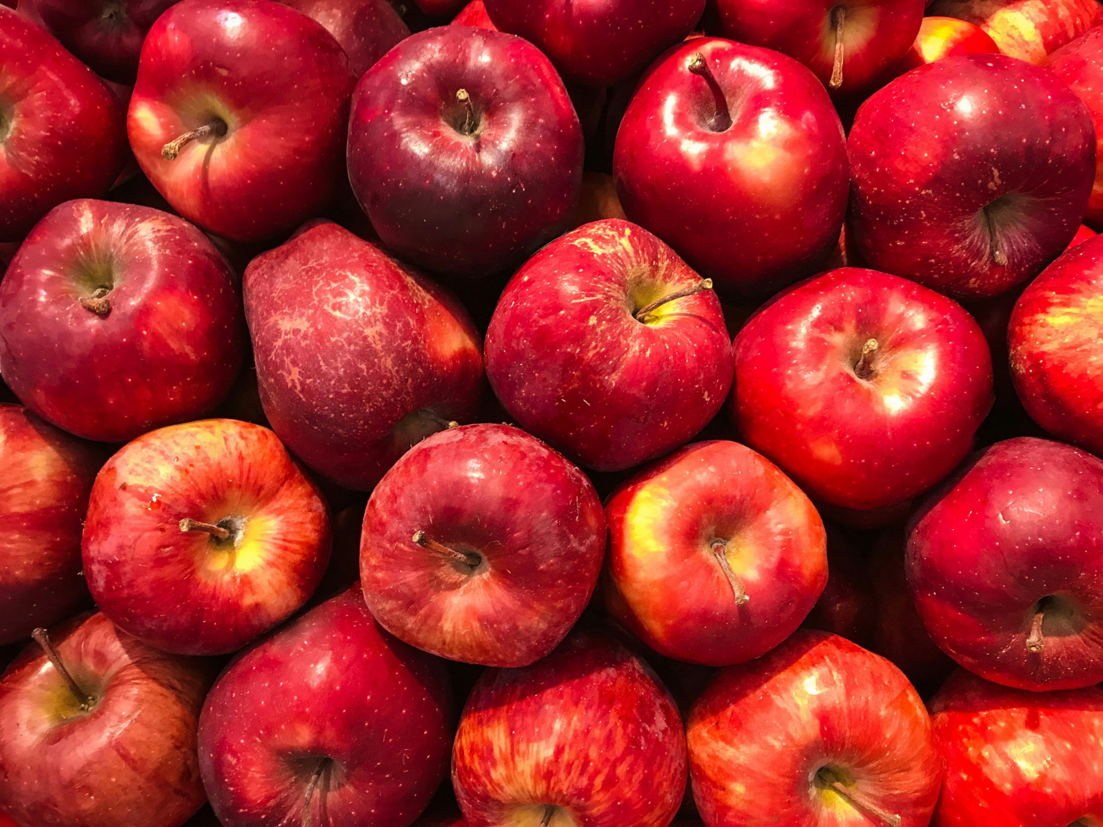 La Fête de la pomme et du maraîchage 2026