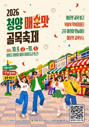 청양 매운맛 골목축제