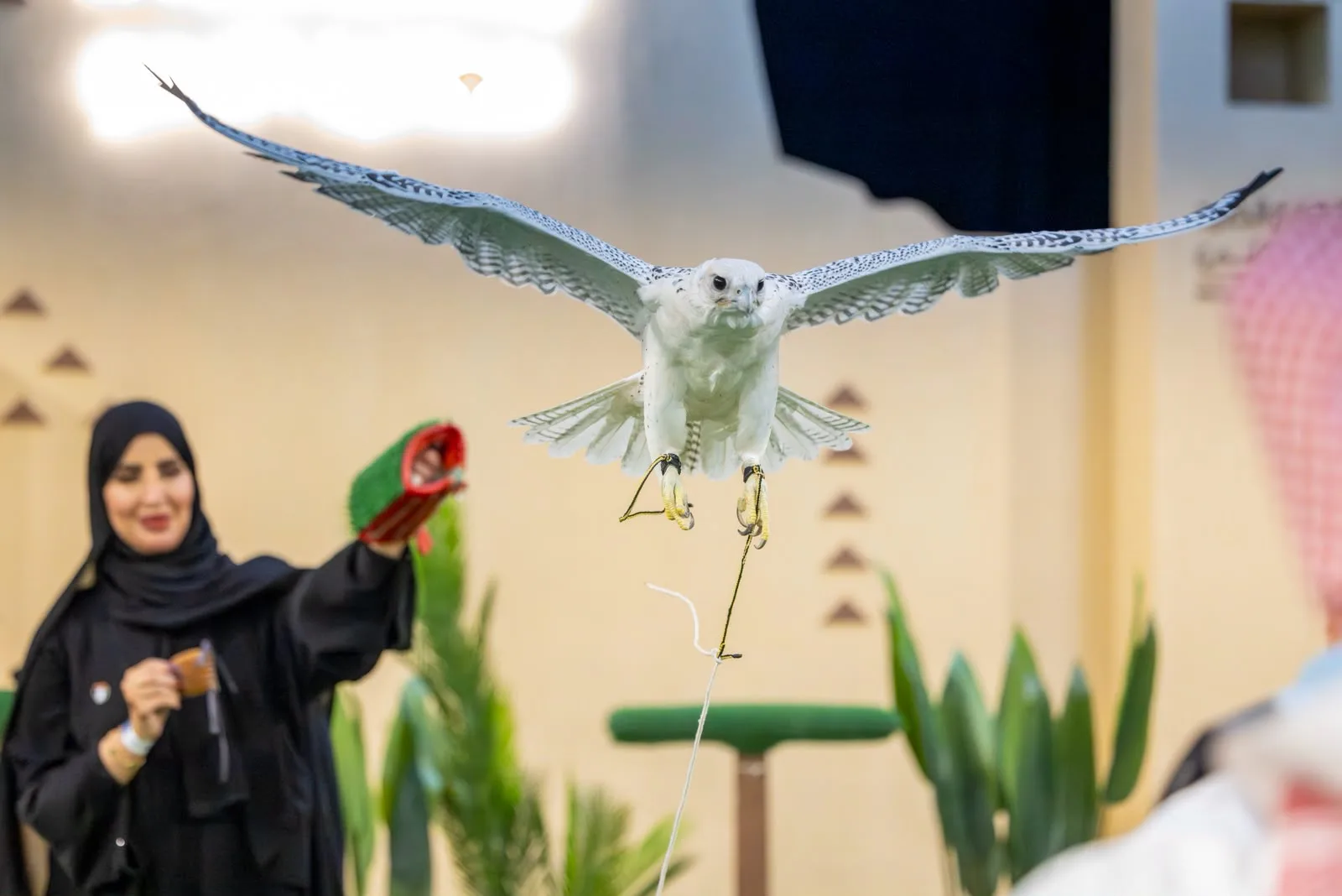 Saudi International Falcons and Hunting Exhibition