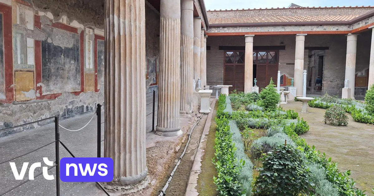 Tijdelijke tentoonstelling Pompeii