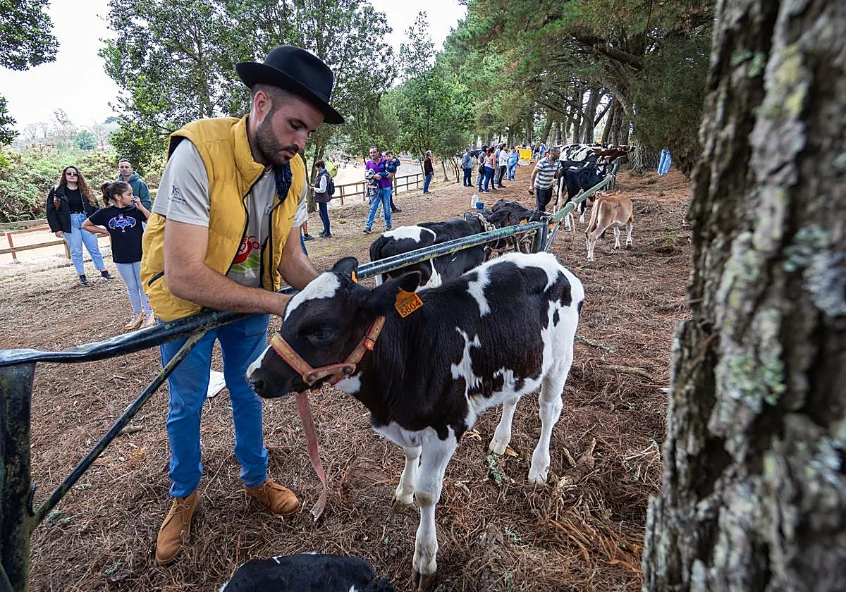 Feria de Ganado de la Fiesta de la Encarnación y de La Manzana