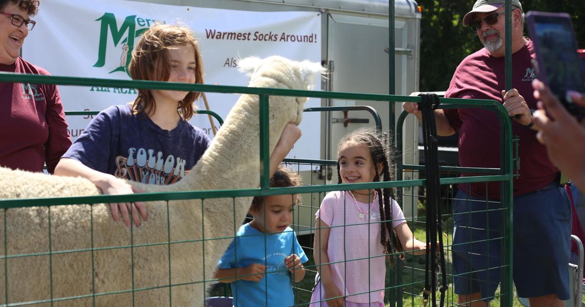 Farm Day at the Market