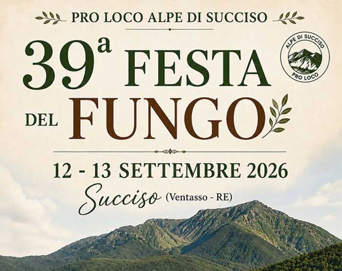 Festa del Fungo