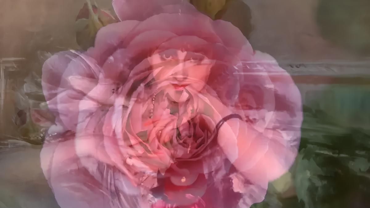 Ballate di Rose III