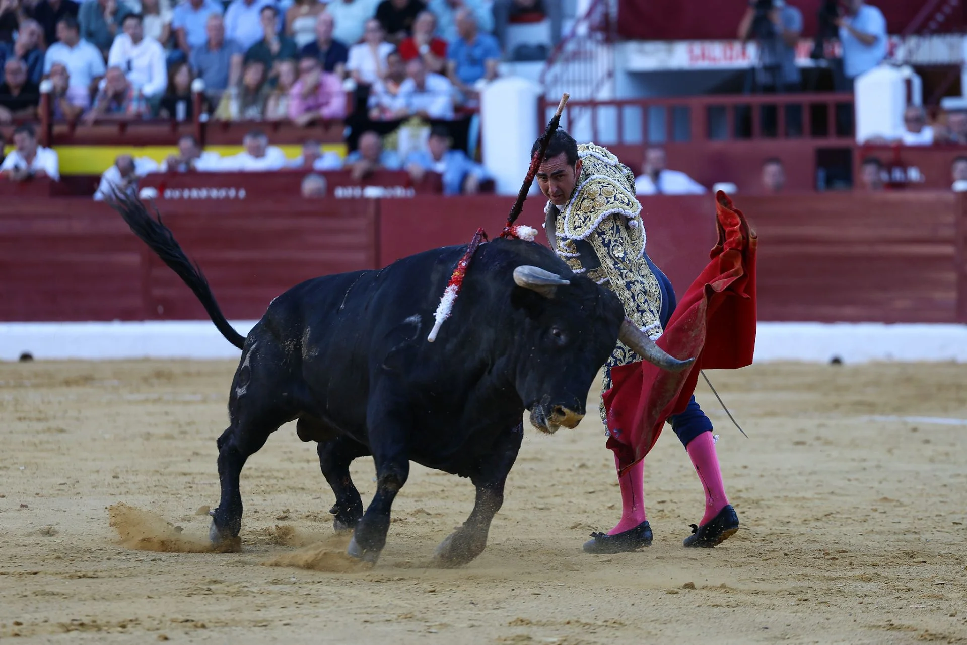 Feria Taurina de Murcia