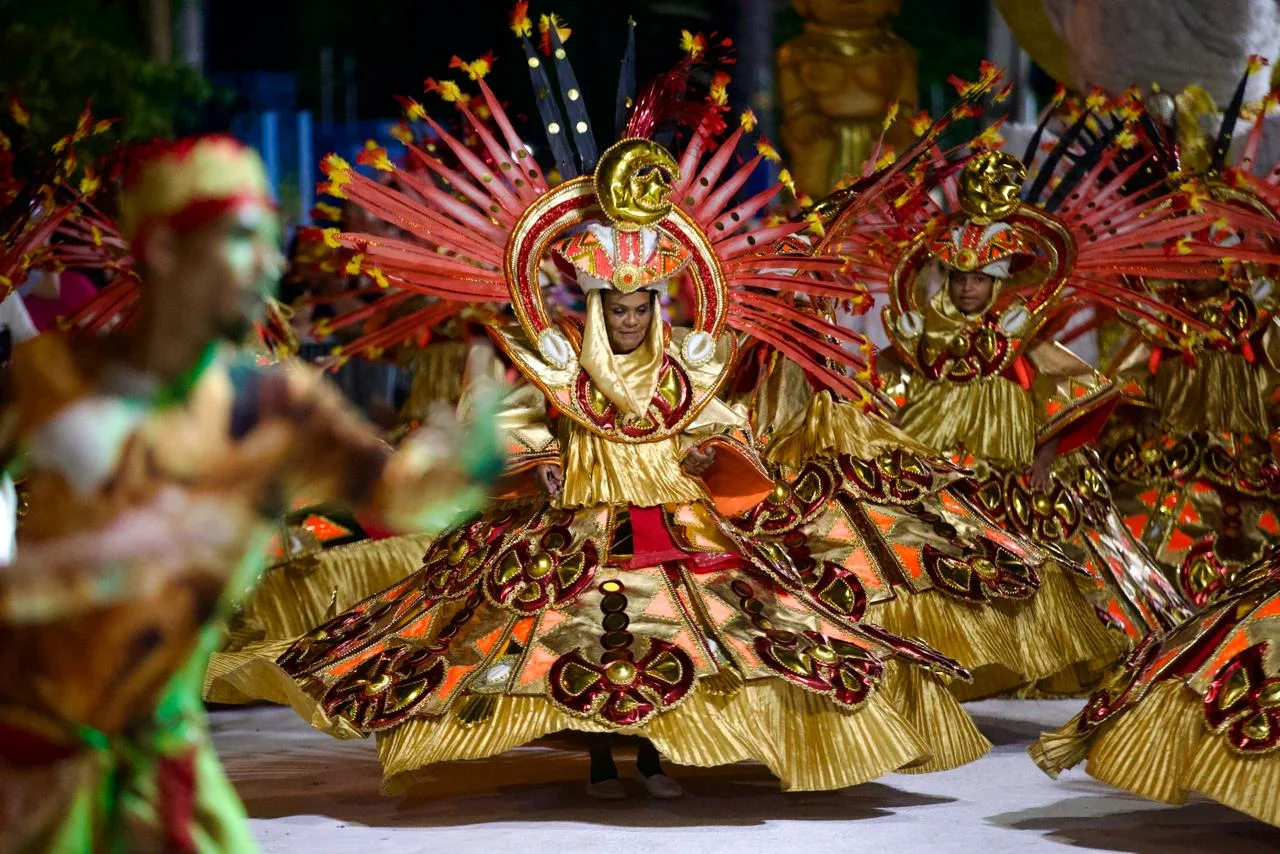 Festa da Escola de Samba Acadêmicos da Verde e Rosa