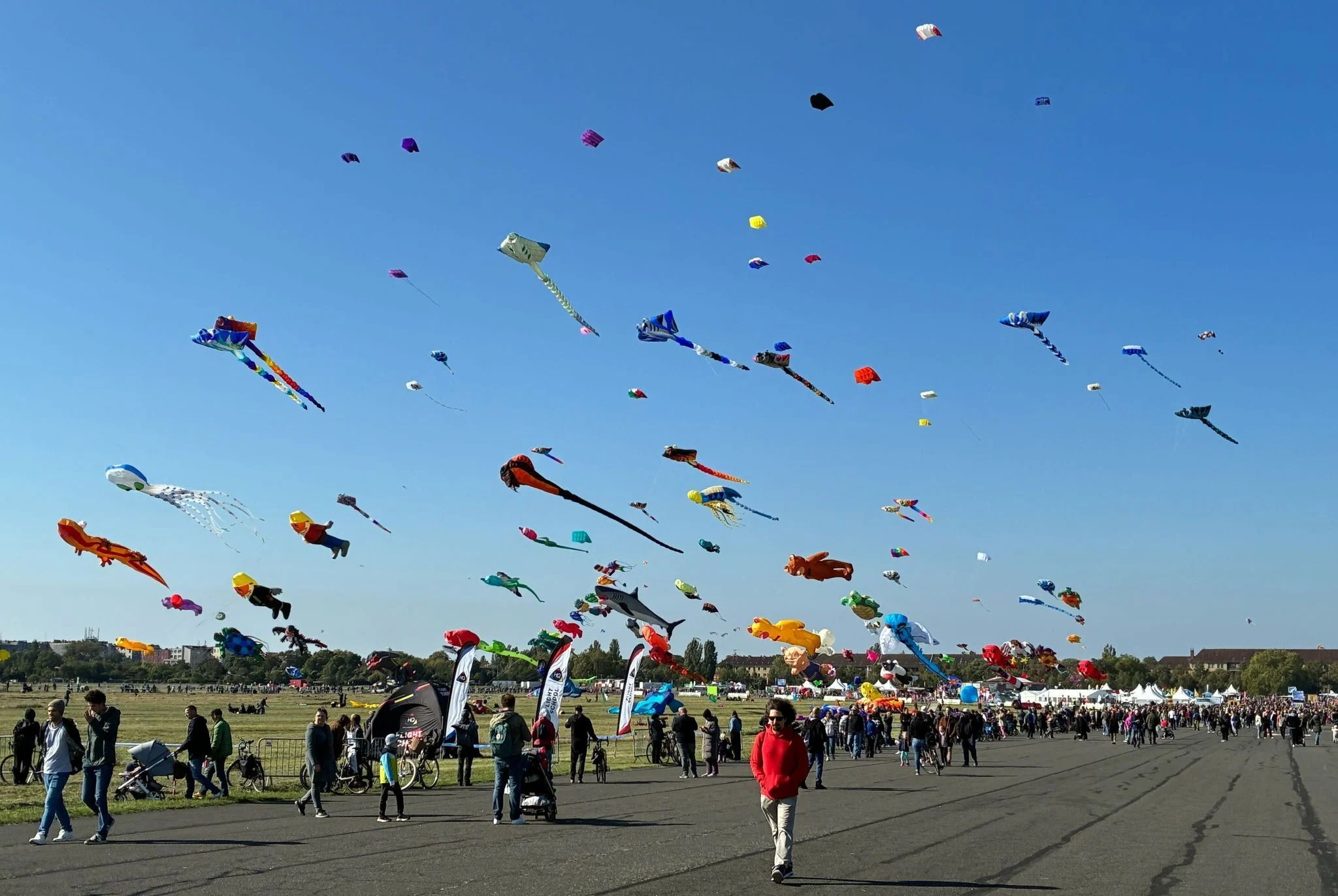 Festival der Riesendrachen