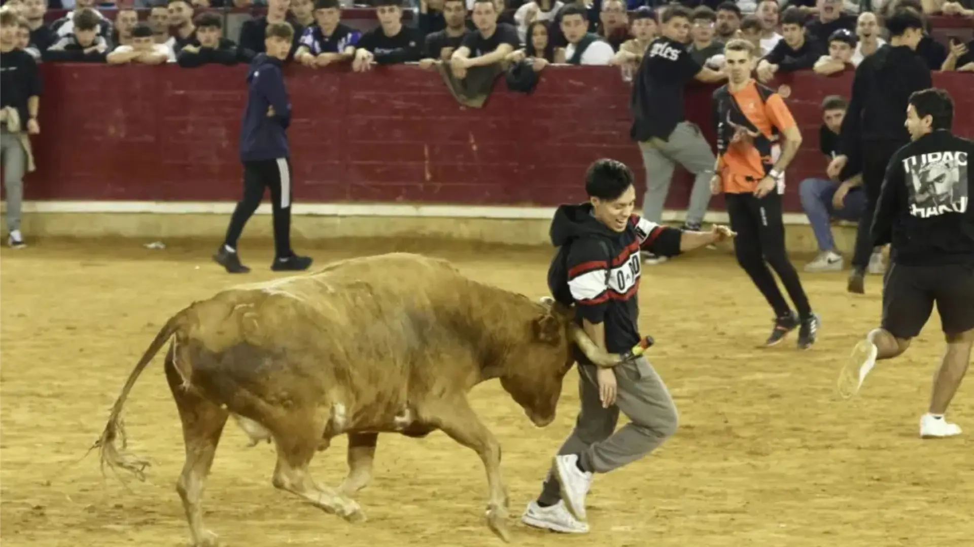 Feria Taurina del Pilar 2026